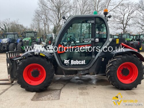 BOBCAT TL30.60 AGRI